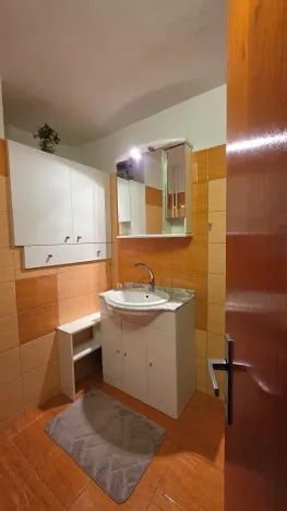 Prodej rodinného domu, Havířov, Ovocná, 355 m2