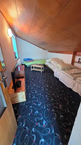 Prodej rodinného domu, Havířov, Ovocná, 355 m2