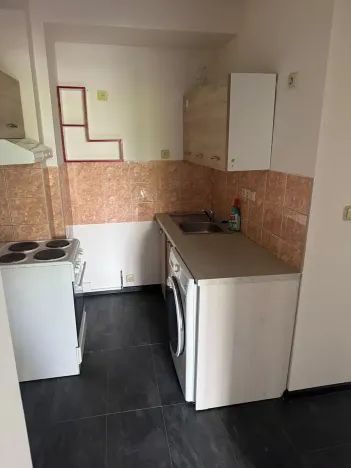 Pronájem bytu 1+kk, Karlovy Vary, Dubová, 30 m2
