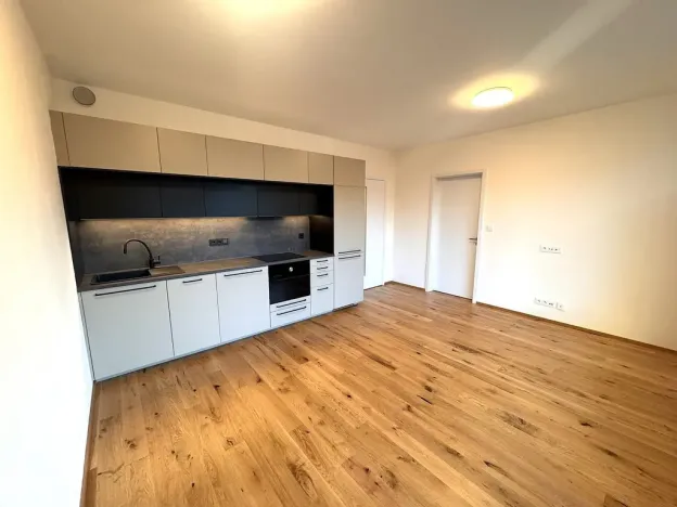 Pronájem bytu 2+kk, Praha - Nusle, Závišova, 41 m2