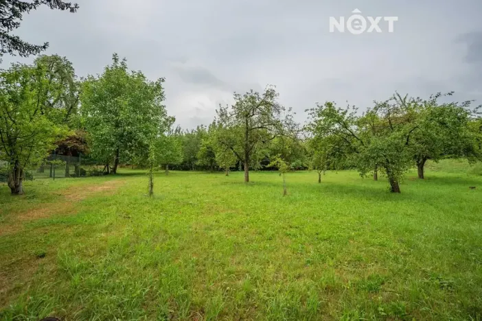 Prodej pozemku pro bydlení, Loštice, 3456 m2