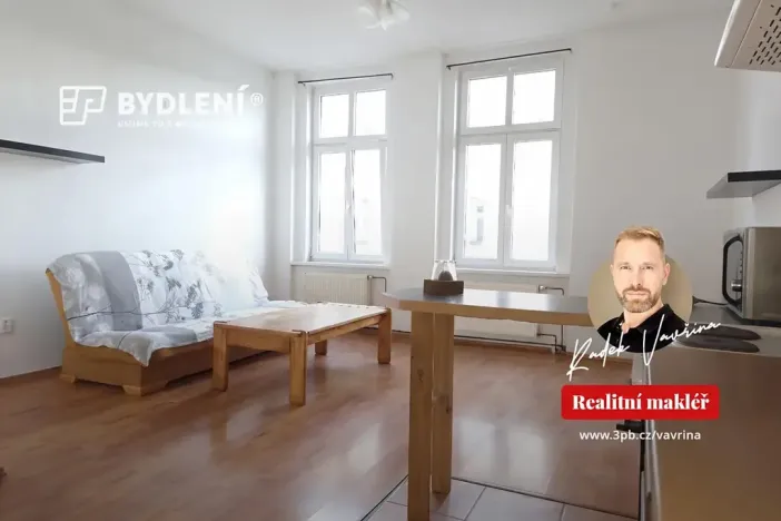 Pronájem bytu 1+1, Teplice, Revoluční, 48 m2