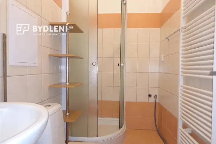 Pronájem bytu 1+1, Teplice, Revoluční, 48 m2