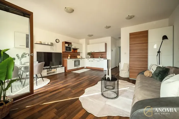 Prodej bytu 2+kk, Brno, Řípská, 52 m2