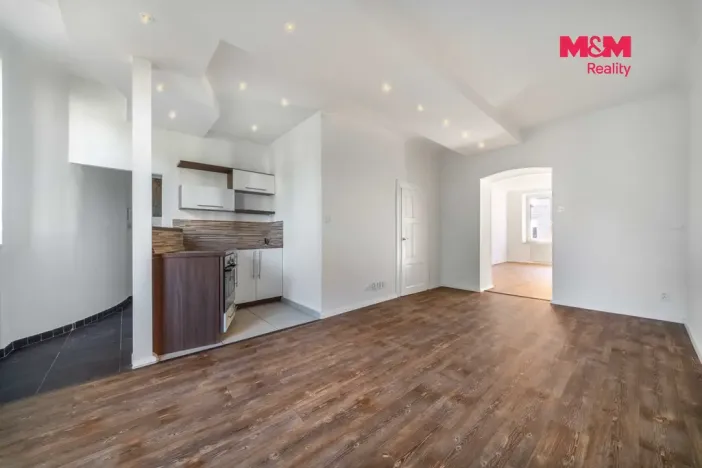 Pronájem bytu 2+kk, Plzeň, Vrchlického, 57 m2