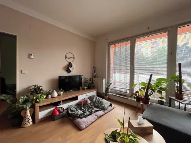 Pronájem bytu 2+kk, Olomouc, Handkeho, 55 m2