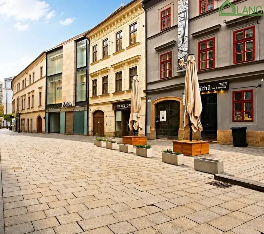 Pronájem restaurace, Brno, Jakubská, 233 m2