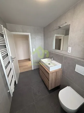 Pronájem bytu 1+kk, Dobřany, Denksteinova, 38 m2