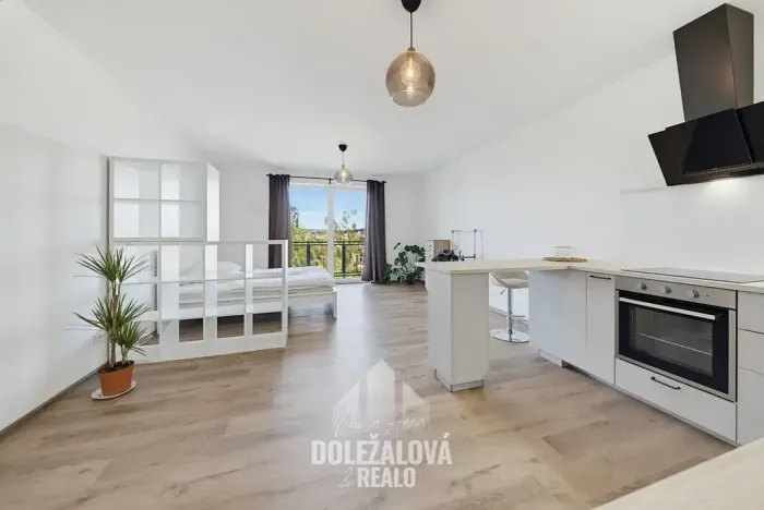 Pronájem bytu 1+kk, Jihlava, Okružní, 45 m2