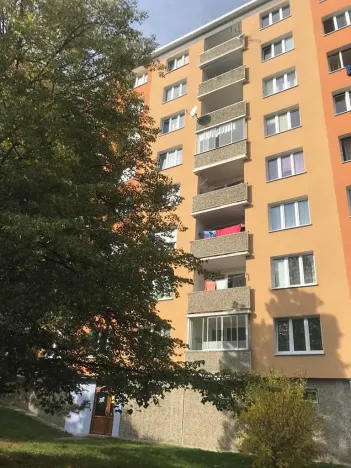 Prodej bytu 1+1, Chomutov, Pod Břízami, 36 m2