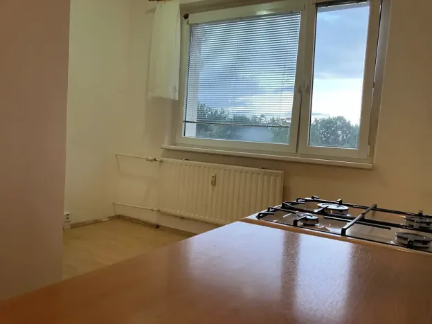 Prodej bytu 1+1, Chomutov, Hutnická, 39 m2