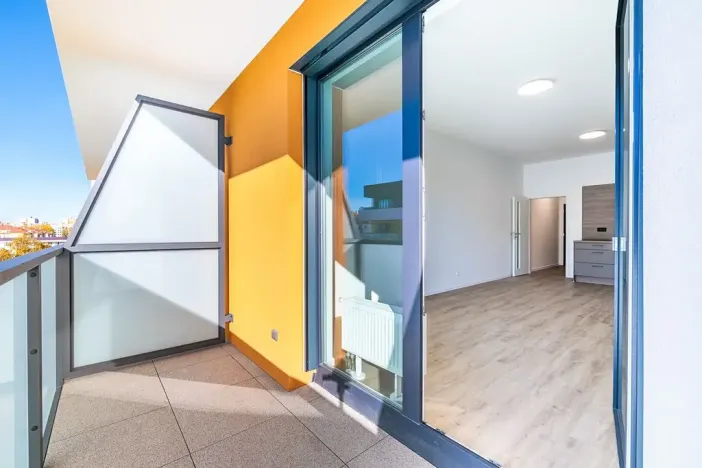 Prodej bytu 1+kk, České Budějovice, U Branišovského lesa, 46 m2