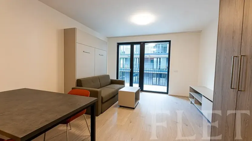 Pronájem bytu 1+kk, Praha - Žižkov, Hartigova, 36 m2