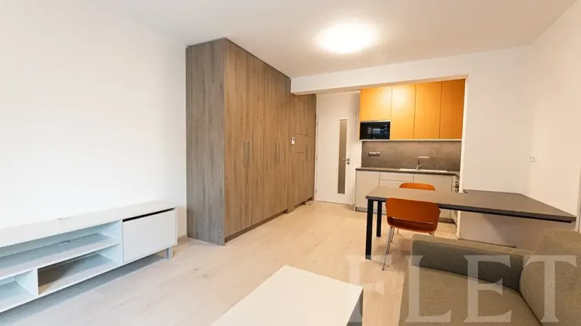 Pronájem bytu 1+kk, Praha - Žižkov, Hartigova, 36 m2