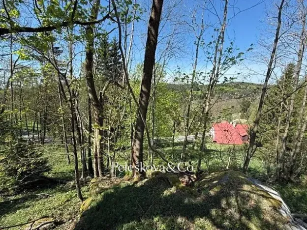 Prodej pozemku pro bydlení, Kořenov, 12296 m2