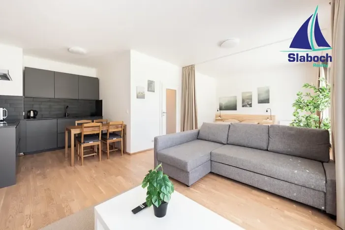 Pronájem bytu 1+kk, Praha - Karlín, Breitfeldova, 45 m2