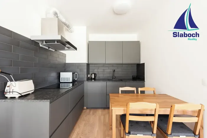 Pronájem bytu 1+kk, Praha - Karlín, Breitfeldova, 45 m2