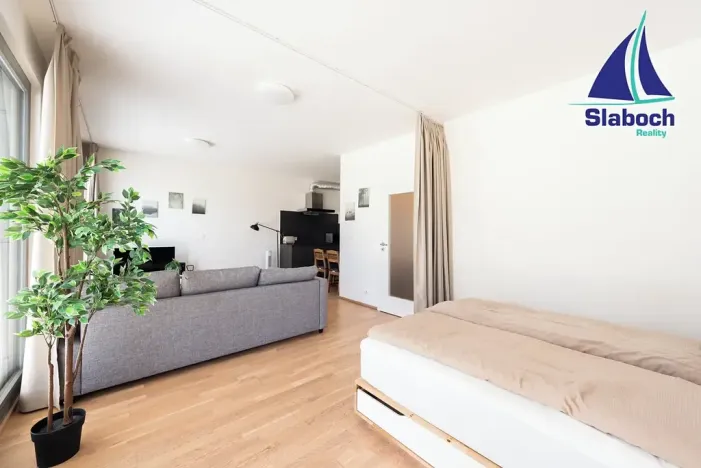Pronájem bytu 1+kk, Praha - Karlín, Breitfeldova, 45 m2