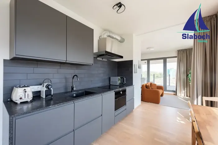 Pronájem bytu 1+kk, Praha - Karlín, Breitfeldova, 63 m2