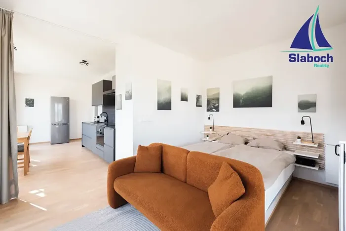 Pronájem bytu 1+kk, Praha - Karlín, Breitfeldova, 63 m2