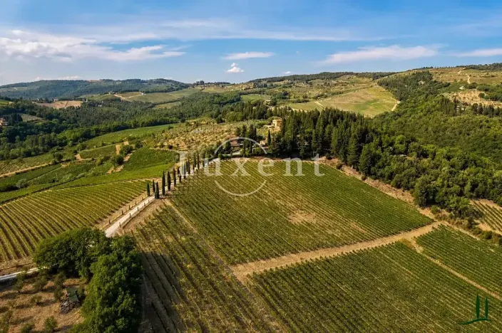 Prodej výrobních prostor, Castellina in Chianti, Itálie, 1130 m2