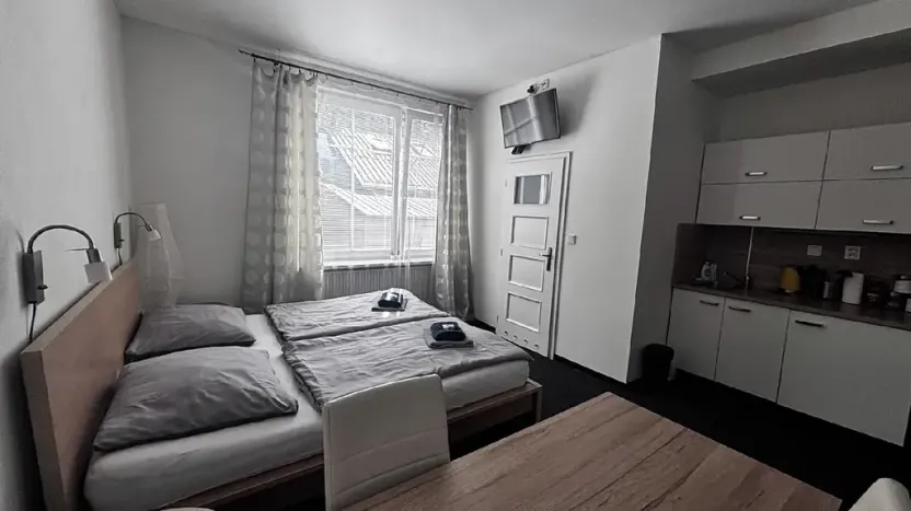 Pronájem bytu 1+kk, Ostrava, Zalužanského, 25 m2