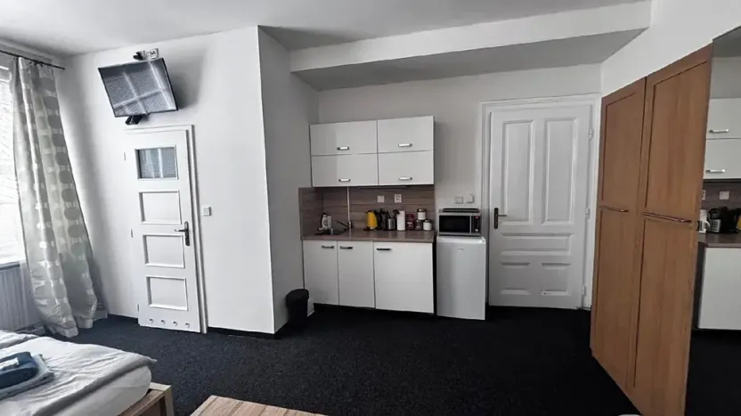 Pronájem bytu 1+kk, Ostrava, Zalužanského, 25 m2