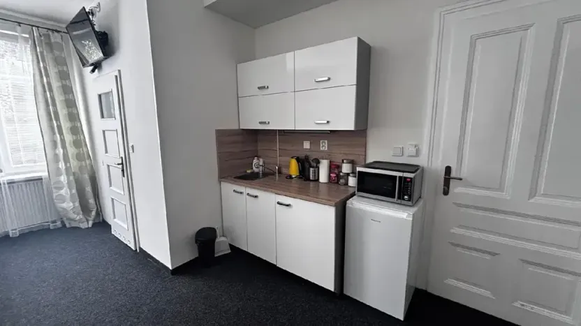 Pronájem bytu 1+kk, Ostrava, Zalužanského, 25 m2
