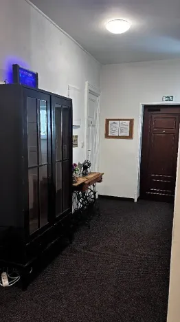 Pronájem bytu 1+kk, Ostrava, Zalužanského, 25 m2