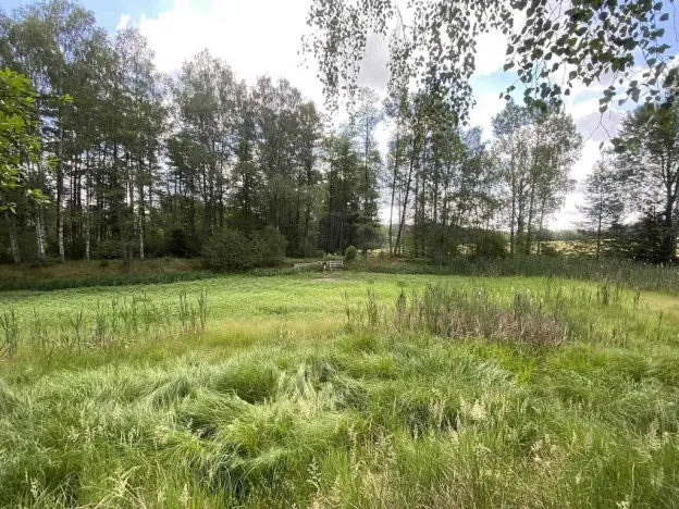 Prodej louky, Trhové Sviny - Otěvěk, 10951 m2