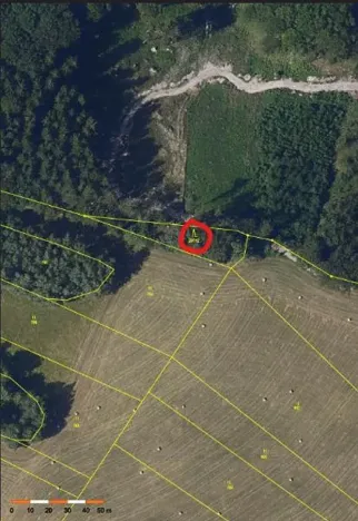 Prodej lesa, Ždírec nad Doubravou, 900 m2