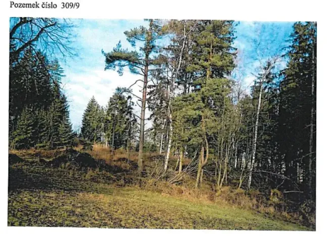 Prodej lesa, Ždírec nad Doubravou, 21716 m2