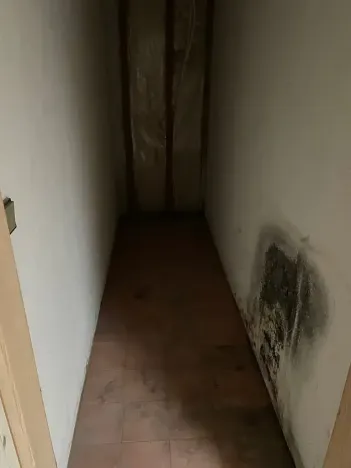 Prodej rodinného domu, Rosice, U Sýpky, 345 m2