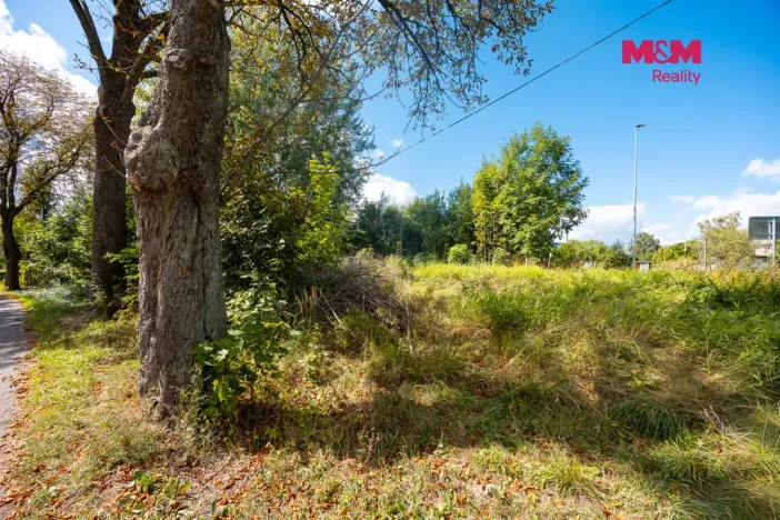 Prodej pozemku pro bydlení, Červená Voda, 2103 m2