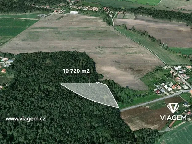 Prodej podílu lesa, Dašice, 5360 m2