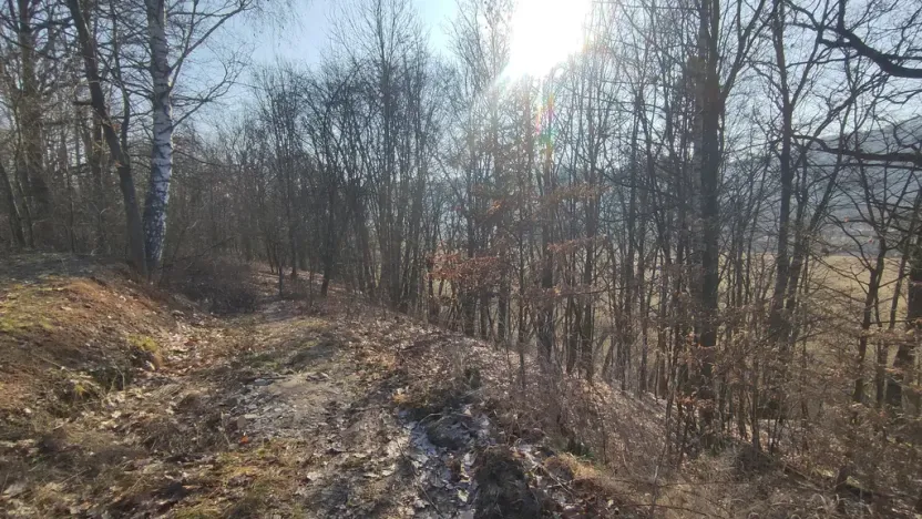 Prodej pozemku, Nemile, 705 m2