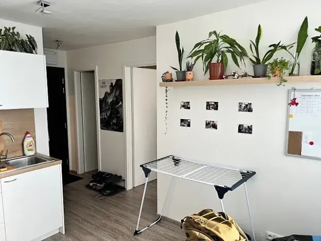 Pronájem bytu 1+1, Hradec Králové, Hradecká, 30 m2