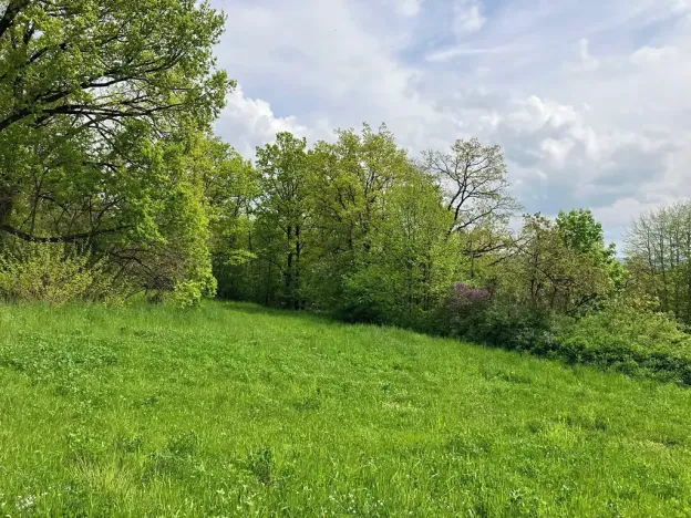 Prodej pozemku pro bydlení, Vysoký Chlumec, 5367 m2