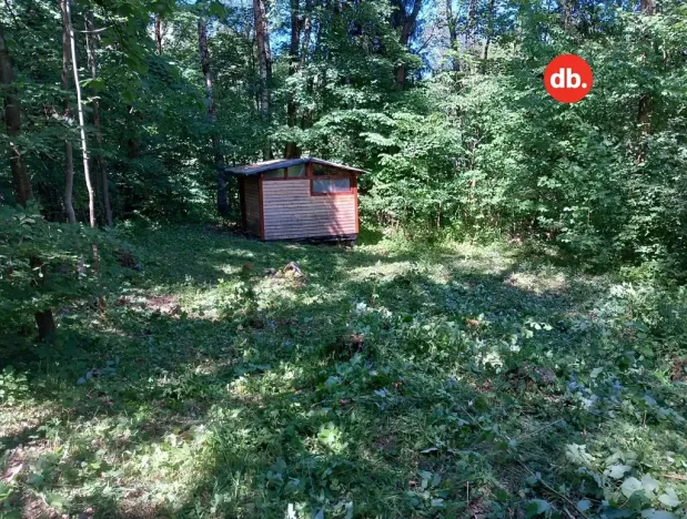 Prodej pozemku, Merklín, 3609 m2