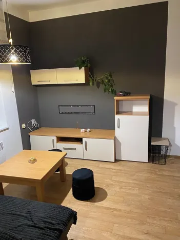 Pronájem bytu 1+1, Prostějov, 49 m2