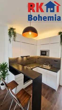 Pronájem bytu 1+1, Praha - Nusle, Nuselská, 42 m2