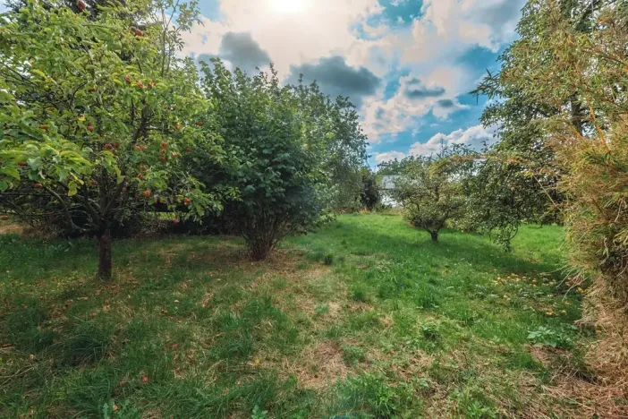 Prodej rodinného domu, Horní Bradlo, 125 m2
