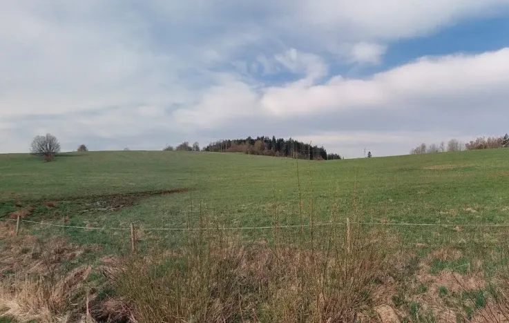 Prodej pozemku, Horní Planá - Žlábek, 47764 m2