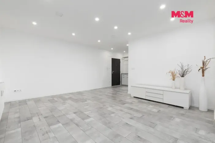 Prodej atypického bytu, Ostrava - Slezská Ostrava, Chittussiho, 55 m2