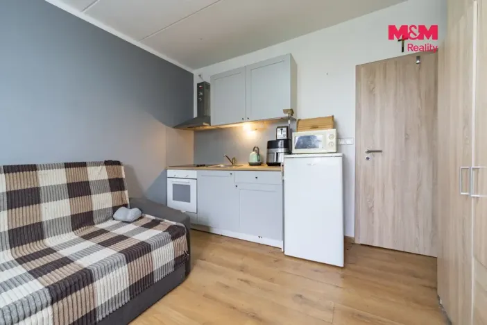 Pronájem bytu 1+kk, Mariánské Lázně - Úšovice, Česká, 20 m2
