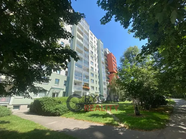 Prodej bytu 1+1, Praha - Chodov, Bachova, 43 m2
