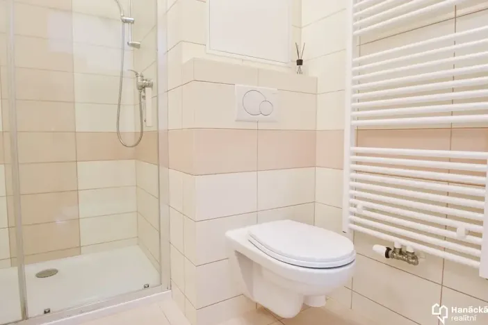 Pronájem bytu 1+kk, Olomouc, Horní lán, 24 m2