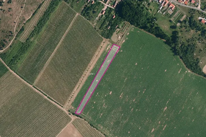 Prodej pole, Znojmo, 7141 m2