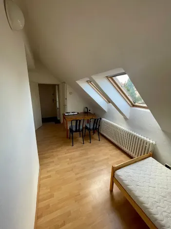 Pronájem bytu 1+kk, Praha - Dejvice, Na Hanspaulce, 22 m2