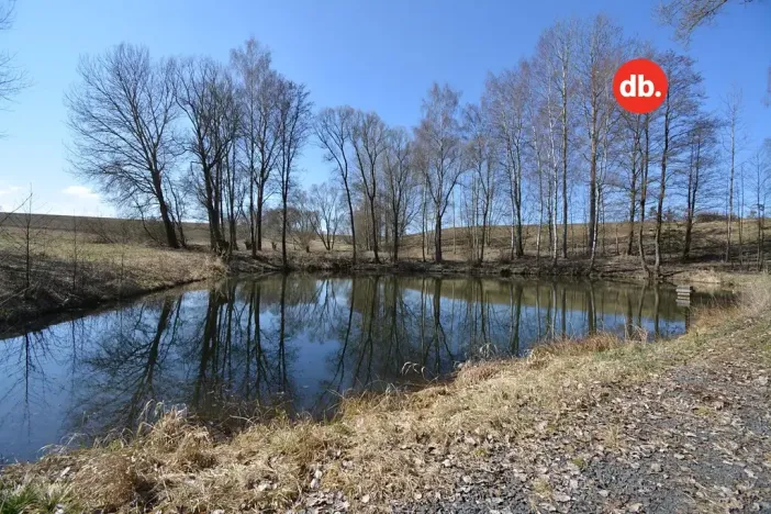Prodej rybníku, Toužim, 5506 m2